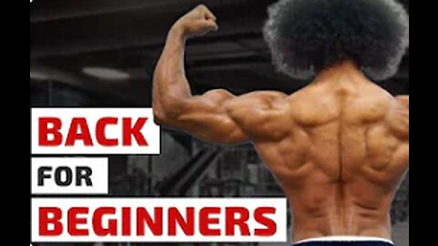 Back Workout for Beginners