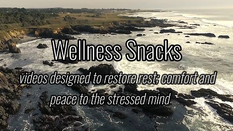 Wellness Snack - Peaceful Ocean Shores!