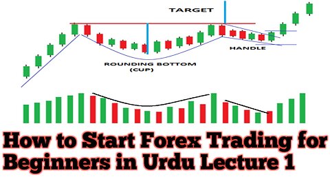 How to Start Forex Trading for Beginners in Urdu Lecture1