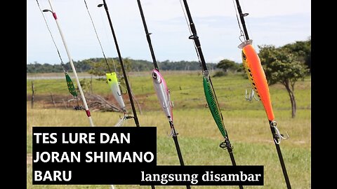 Lure Test! BIG Fish in New Shimano Curado #fishing #shimano #lure