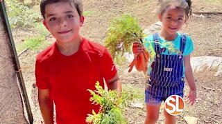 Project Roots: Community garden grows food to help with food insecurities