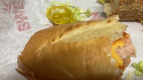 My Wawa Turkey hoagie