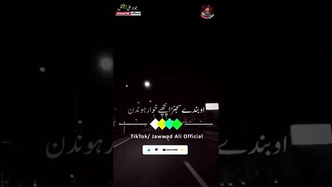 Kar Qatal Ya Sanu La Seeny - Punjabi Poetry Whatsapp Status - Sad Saraiki Shero Shayari Dohray