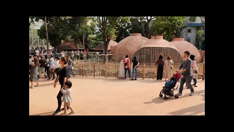 🔴 #Xinchu Zoo with MJ Klein 2021 03/ 28 #TaiwanLiveTV 新竹動物園