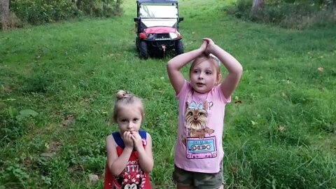 Picking pawpaws September 2021