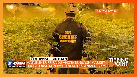 Exposing Chinese Organized Crime Rings Operating in Maine | TIPPING POINT