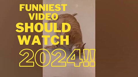 The Bark-tastic Comedy Show: Funniest Paws and Dogs You should watch in 2024!!