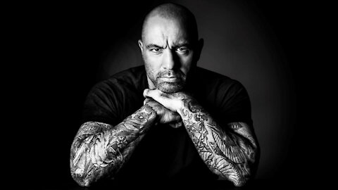 Joe Rogan Vegan's Beef With Vegan Meat