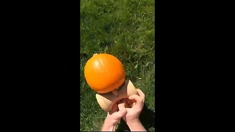 Playing with a Pumpkin Kendama!