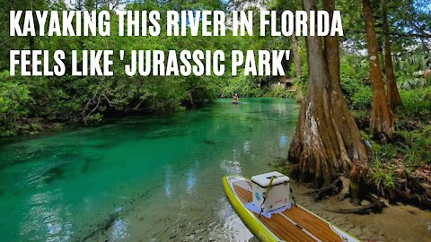 You'll Feel Like You're In 'Jurassic Park' Kayaking Down This 7.4-Mile River In Florida