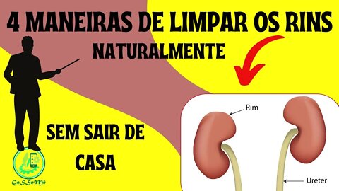 QUER SABER COMO FAZER LIMPEZA DE RINS EM CASA? CONFIRA NESSAS 4 DICAS