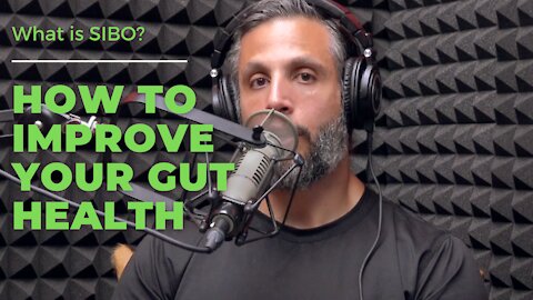 How to Improve Your Gut Health | Gut Health Secrets