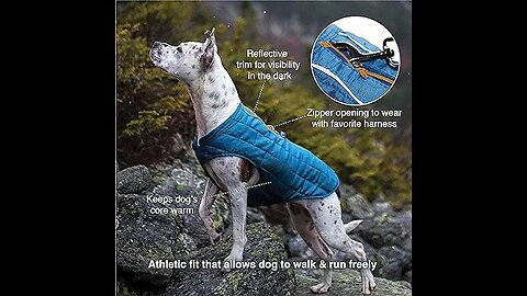 Kurgo Loft Dog Jacket,link is on description