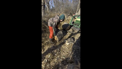 Moving logs