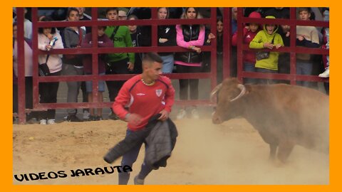 BARRIO DE SAN MIGUEL ( TARAZONA ) TARDE VACAS EN LA PLAZA ( SABADO 24 SEPTIEMBRE 2022 ) MERINO