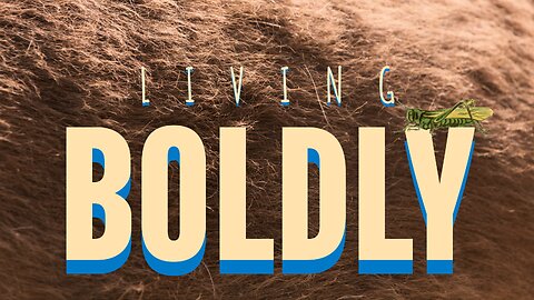 Dceember 31, 2023 - LIVING BOLDLY