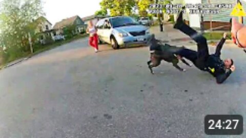 Pit Bull Attacks Officer During Terrifying Rampage