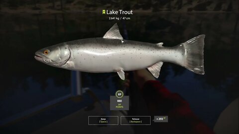 Russian Fishing 4 Kuori lake Lake Trout 2.641 Kg