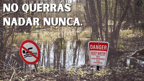 10 lugares donde definitivamente no querrás ir a nadar nunca