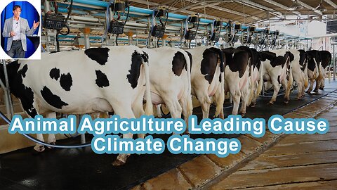 Animal Agriculture May Be The Leading Cause Of Climate Change