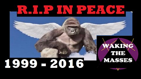 Waking the Masses - Harambe Tribute