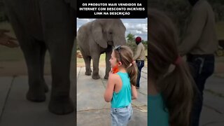 ELEFANTE DANÇA IGUAL A GAROTINHA