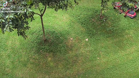 Lawn Tractor in an HDB Estate in Singapore