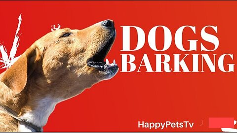 Dog barking and cute dog 🐕🐕 dog health