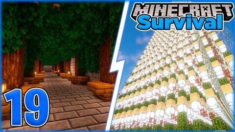 A maior Farm de Cacto que já fiz - Minecraft Survival #19