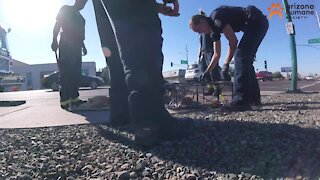 Kitten rescued from Phoenix storm drain