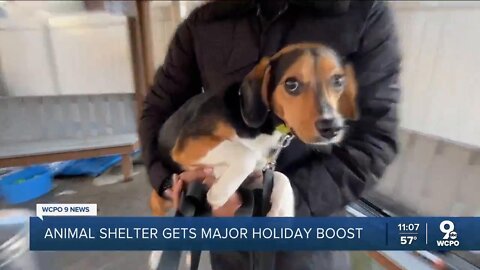 Cincinnati animal shelter sees big holiday boost