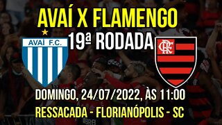 AVAÍ X FLAMENGO BRASILEIRÃO ESCALAÇÃO ONDE ASSISTIR DESFLAQUES E ARBITRAGEM NOTÍCIAS DO FLAMENGO