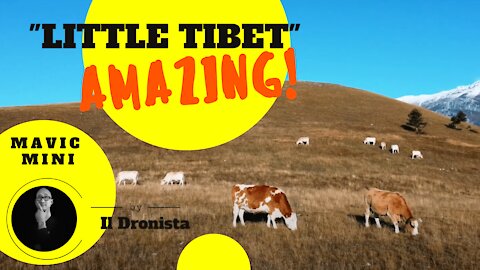 Drone Video - LITTLE TIBET