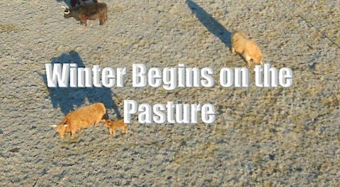 Winter Begins on the Pasture