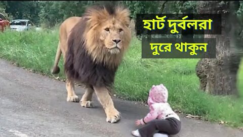 ভিডিও টি না টেনে শেষ পর্যন্ত দেখুন কি ঘটে। animals kids, পশুদের ফানি ভিডিও।