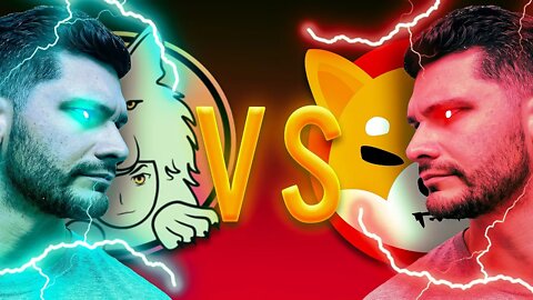 Shiba Inu Vs Saitama Inu ($1,000 Goes To The Winner!)