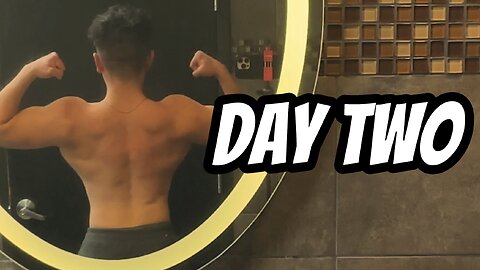 Pathetic To Aesthetic (Day 2) - Back Day / Pull Day