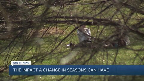 Psychologists say spring helps improve mental health