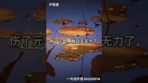 一句话开悟20220514