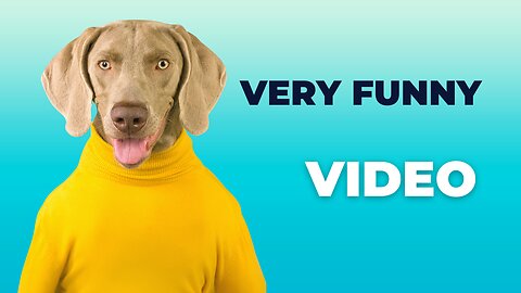 Super FUNNY DOG Videos from TikTok! #8 🐶 | Dog Lovers | SHORT & FUNNY Videos 🤣 #Shorts