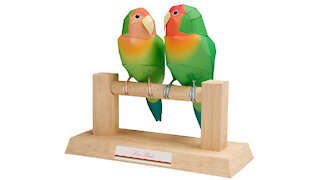 Paper lovebirds/Agapornis de papel