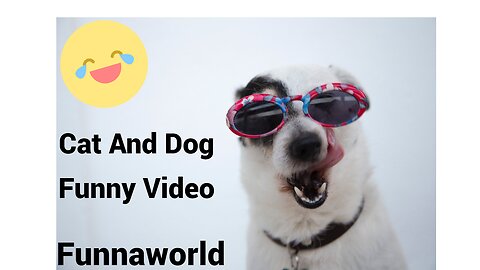 Funny animal videos | funny pets videos | funny videos 2023 | funnaworld