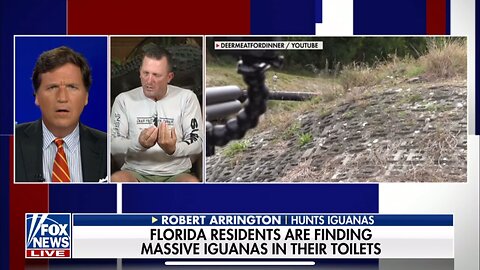 TUCKER CARLSON-ROBERT ARRINGTON I E-REPTILE DYSFUNCTION IGUANAS ARE TAKING OVER SOUTH FL