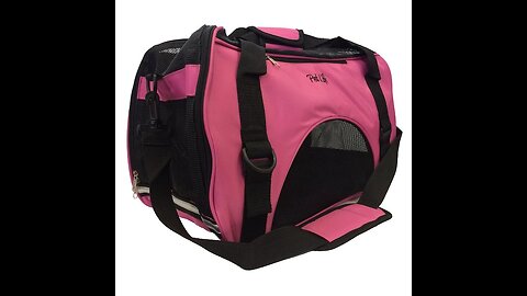 Airline Approved Folding Zippered Sporty Mesh Pet Carrier