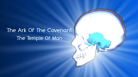 The Ark of the Covenant - The Temple of Man