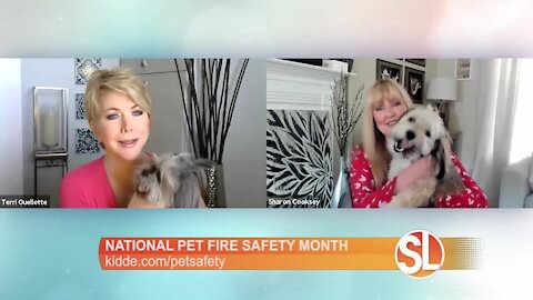 Kidde has tips in honor of Pet Fire Safety Month