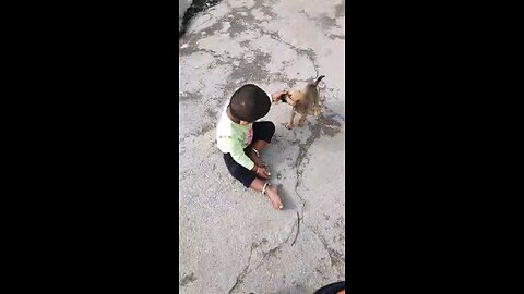 Happy baby playing with dog...