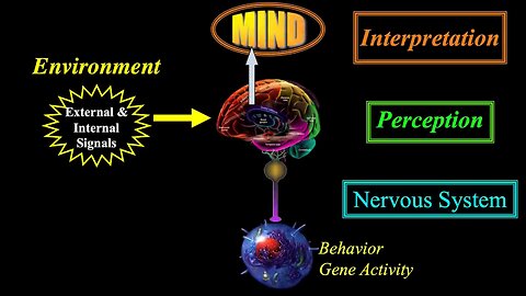 KNOW THYSELF: Epigenetics and Computers! IT'S ALL HERE NOW!!!