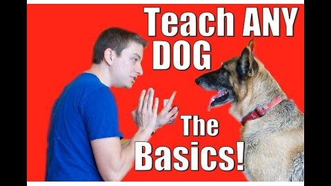 Dog training