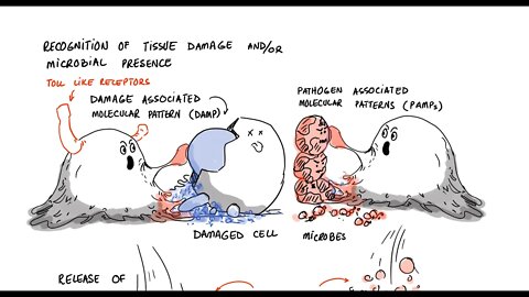 What Does Chronic Inflammatory State Mean? (Lecture 1)